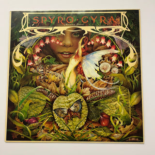 Spyro Gyra ‎– Morning Dance LP mit OIS (VG+) - schallplattenparadis