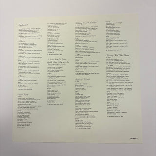 Stevie Nicks ‎– The Wild Heart LP mit OIS und Beiblatt (VG+) - schallplattenparadis