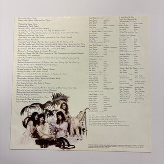 Stevie Nicks ‎– The Wild Heart LP mit OIS und Beiblatt (VG+) - schallplattenparadis