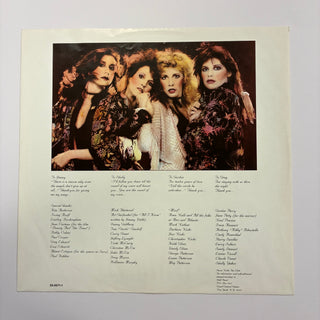 Stevie Nicks ‎– The Wild Heart LP mit OIS und Beiblatt (VG+) - schallplattenparadis