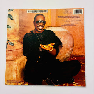 Stevie Wonder ‎– In Square Circle LP (NM) - schallplattenparadis