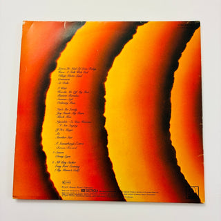 Stevie Wonder – Songs In The Key Of Life LP mit Single (VG+) - schallplattenparadis