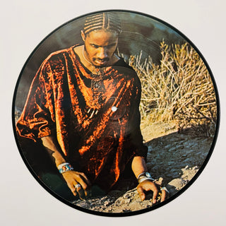 Stevie Wonder ‎– Talking Book - Picture Disc (VG+) - schallplattenparadis