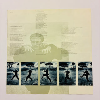 Sting ‎– The Dream Of The Blue Turtles LP mit OIS (NM) - schallplattenparadis