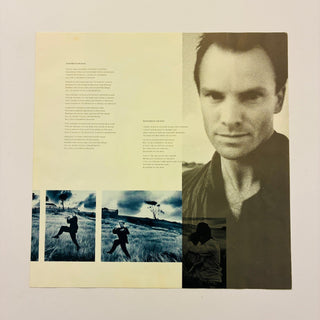 Sting ‎– The Dream Of The Blue Turtles LP mit OIS (NM) - schallplattenparadis