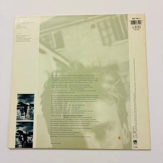 Sting ‎– The Dream Of The Blue Turtles LP mit OIS (NM) - schallplattenparadis