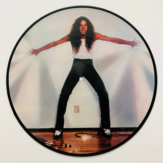 Ted Nugent ‎– State Of Shock - Limited Edition - Picture Disc (VG+) - schallplattenparadis