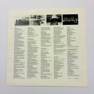 The Beach Boys – The Beach Boys LP mit OIS (NM) - schallplattenparadis