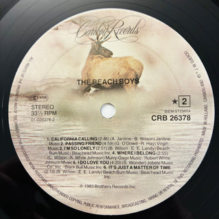 The Beach Boys – The Beach Boys LP mit OIS (NM) - schallplattenparadis