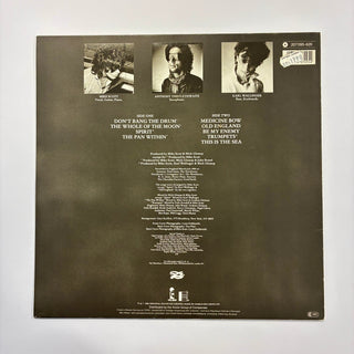 The Waterboys ‎– This Is The Sea LP mit OIS (NM) - schallplattenparadis