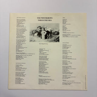 The Waterboys ‎– This Is The Sea LP mit OIS (NM) - schallplattenparadis