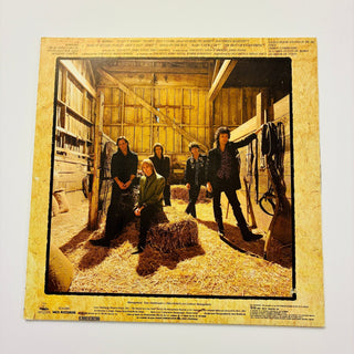 Tom Petty And The Heartbreakers ‎– Acentos Sureños = Southern Accents LP (NM) - schallplattenparadis
