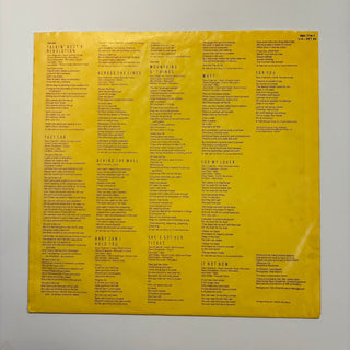 Tracy Chapman ‎– Tracy Chapman LP mit OIS (VG+) - schallplattenparadis