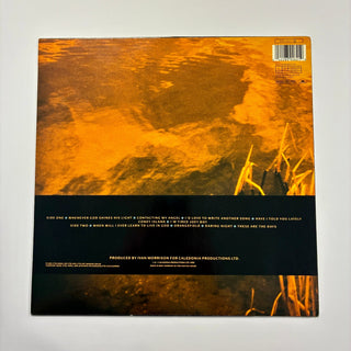 Van Morrison – Avalon Sunset LP mit OIS (NM) - schallplattenparadis