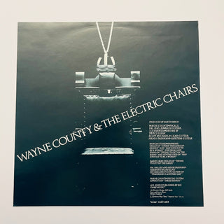 Wayne County & The Electric Chairs ‎– Storm The Gates Of Heaven - Multi - coloured Vinyl (VG+) - schallplattenparadis