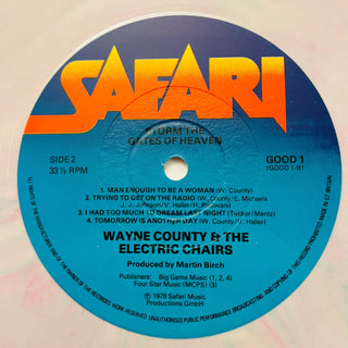 Wayne County & The Electric Chairs ‎– Storm The Gates Of Heaven - Multi - coloured Vinyl (VG+) - schallplattenparadis