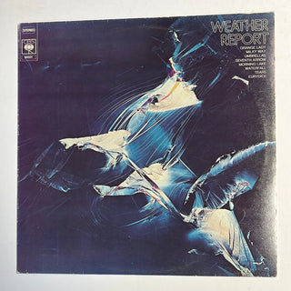 Weather Report ‎– Weather Report LP (VG+) - schallplattenparadis