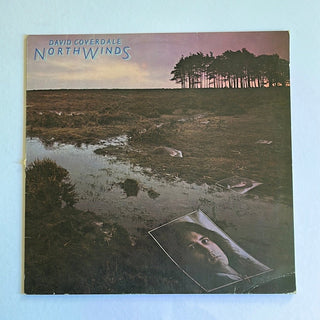 David Coverdale ‎– Northwinds LP (VG+) - schallplattenparadis