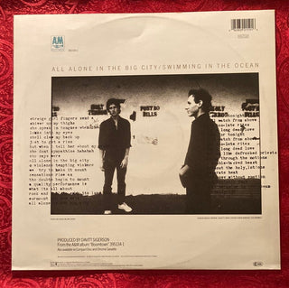 David & David – Swallowed By The Cracks Maxi-Single (VG+) - schallplattenparadis