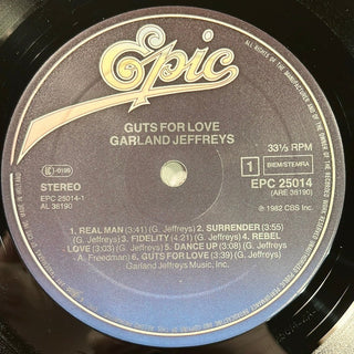 Garland Jeffreys ‎– Guts For Love LP mit OIS (NM) - schallplattenparadis