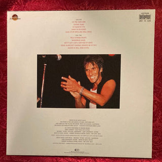 John Cafferty And the Beaver Brown Band - John Cafferty And the Beaver Brown Band LP (VG) - schallplattenparadis