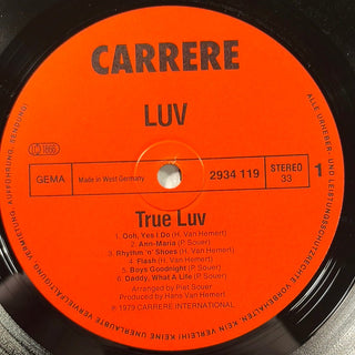 Luv' ‎– True Luv' LP (NM) - schallplattenparadis