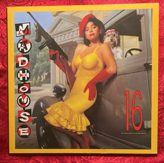 Madhouse ‎– 16 (New Directions In Garage Music) LP mit OIS (VG) - schallplattenparadis