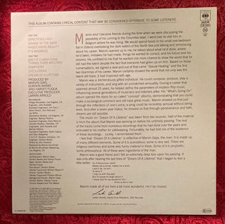 Marvin Gaye - Dream of a Lifetime mit OIS (VG) - schallplattenparadis