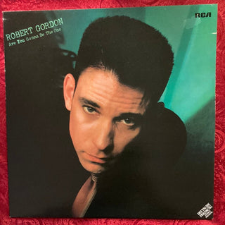 Robert Gordon - Are You Gonna Be The One LP (VG+) - schallplattenparadis