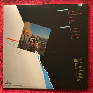 Sea Level ‎– Cats On The Coast LP (VG+) - schallplattenparadis