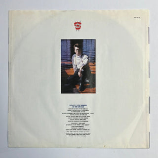 Steve Winwood ‎– Roll With It LP mit OIS (VG+) - schallplattenparadis