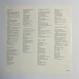 Stevie Nicks ‎– The Wild Heart LP mit Beiblatt (NM) - schallplattenparadis