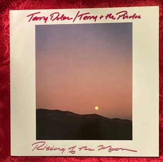 Terry Dolan - Terry & The Pirates - Rising of the Moon LP mit Beiblatt (VG+) - schallplattenparadis