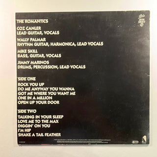 The Romantics ‎– In Heat LP mit OIS (VG+) - schallplattenparadis