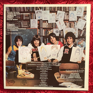 The Rubinoos - Back to the Drawing Board LP (VG+) - schallplattenparadis