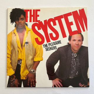 The System ‎– The Pleasure Seekers LP mit OIS (VG+) - schallplattenparadis