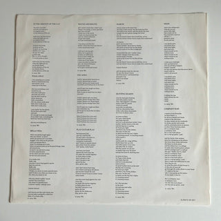 Tony Carey ‎– In The Absence Of The Cat LP mit OIS (NM) - schallplattenparadis